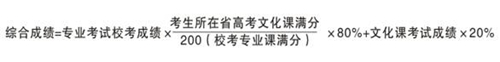 合肥學院2014年美術(shù)專業(yè)招生簡章