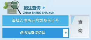 四川外國語大學(xué)2015年藝術(shù)類?？疾樵? width=