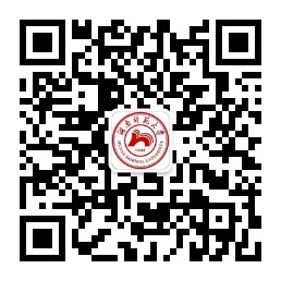 湖南師范大學(xué)2025年外語類保送生招生簡(jiǎn)章
