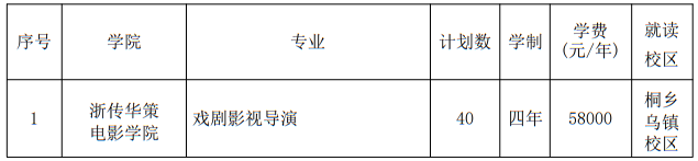 浙江傳媒學(xué)院2025年藝術(shù)類本科專業(yè)招生計(jì)劃